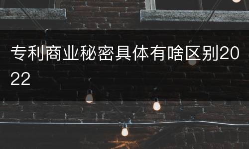 专利商业秘密具体有啥区别2022