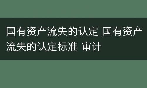 国有资产流失的认定 国有资产流失的认定标准 审计