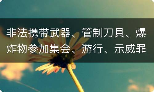 非法携带武器、管制刀具、爆炸物参加集会、游行、示威罪怎么构成的