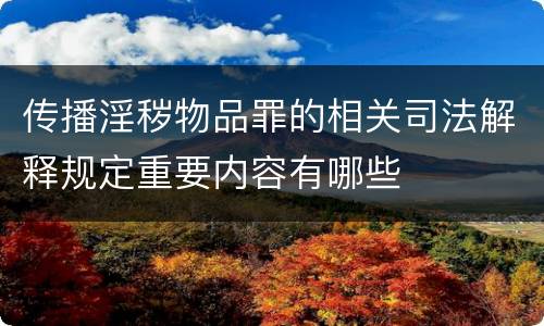 传播淫秽物品罪的相关司法解释规定重要内容有哪些