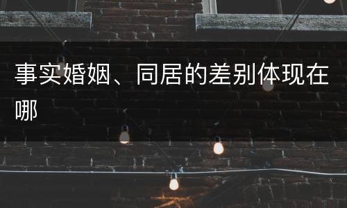事实婚姻、同居的差别体现在哪