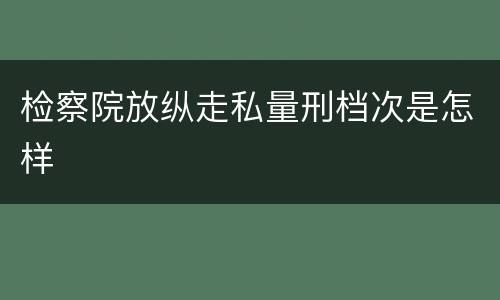 检察院放纵走私量刑档次是怎样