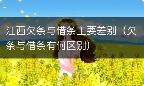 江西欠条与借条主要差别（欠条与借条有何区别）