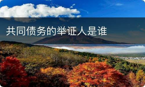 共同债务的举证人是谁