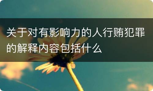 关于对有影响力的人行贿犯罪的解释内容包括什么