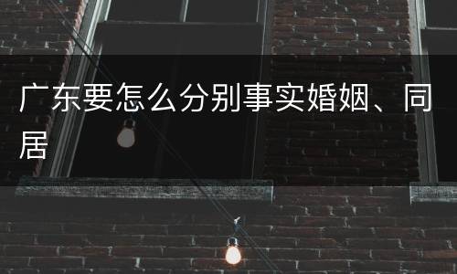 广东要怎么分别事实婚姻、同居