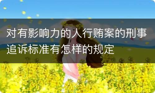 对有影响力的人行贿案的刑事追诉标准有怎样的规定