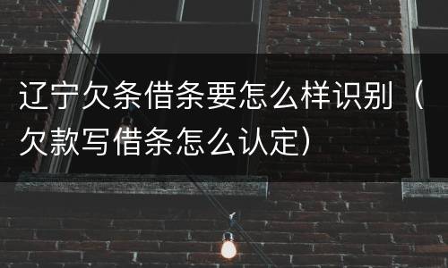 辽宁欠条借条要怎么样识别（欠款写借条怎么认定）