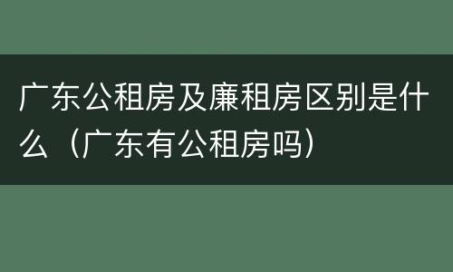 广东公租房及廉租房区别是什么（广东有公租房吗）
