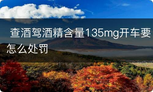  查酒驾酒精含量135mg开车要怎么处罚