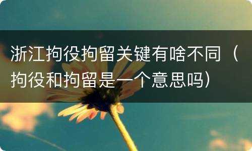 浙江拘役拘留关键有啥不同（拘役和拘留是一个意思吗）