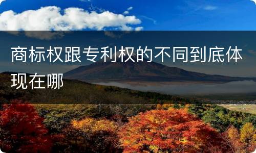 商标权跟专利权的不同到底体现在哪