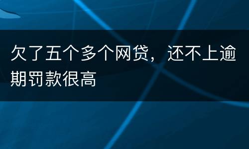 欠了五个多个网贷，还不上逾期罚款很高
