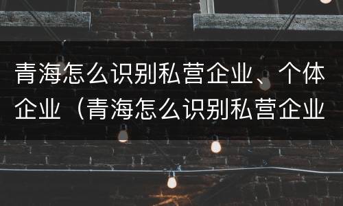 青海怎么识别私营企业、个体企业（青海怎么识别私营企业,个体企业呢）