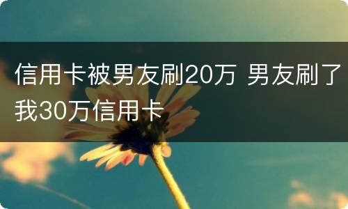信用卡被男友刷20万 男友刷了我30万信用卡