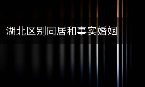 湖北区别同居和事实婚姻
