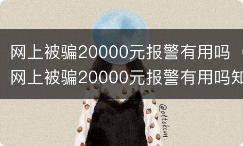 网上被骗20000元报警有用吗（网上被骗20000元报警有用吗知乎）