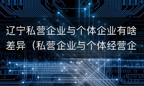 辽宁私营企业与个体企业有啥差异（私营企业与个体经营企业的区别）