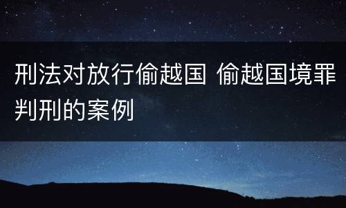 刑法对放行偷越国 偷越国境罪判刑的案例