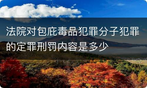 法院对包庇毒品犯罪分子犯罪的定罪刑罚内容是多少