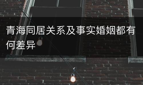 青海同居关系及事实婚姻都有何差异