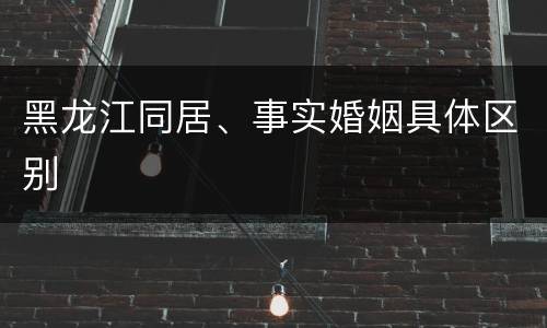 黑龙江同居、事实婚姻具体区别