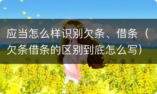应当怎么样识别欠条、借条（欠条借条的区别到底怎么写）