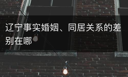 辽宁事实婚姻、同居关系的差别在哪