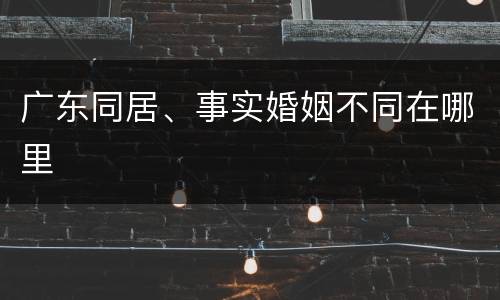 广东同居、事实婚姻不同在哪里