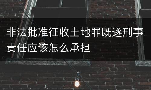 非法批准征收土地罪既遂刑事责任应该怎么承担