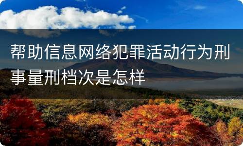 帮助信息网络犯罪活动行为刑事量刑档次是怎样