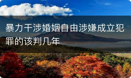 暴力干涉婚姻自由涉嫌成立犯罪的该判几年