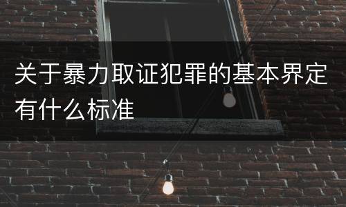 关于暴力取证犯罪的基本界定有什么标准