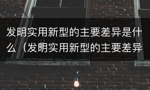 发明实用新型的主要差异是什么（发明实用新型的主要差异是什么原因）