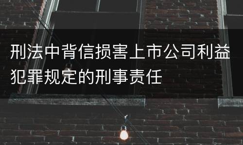 刑法中背信损害上市公司利益犯罪规定的刑事责任