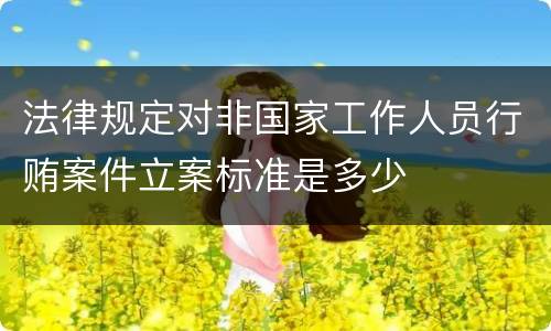 法律规定对非国家工作人员行贿案件立案标准是多少