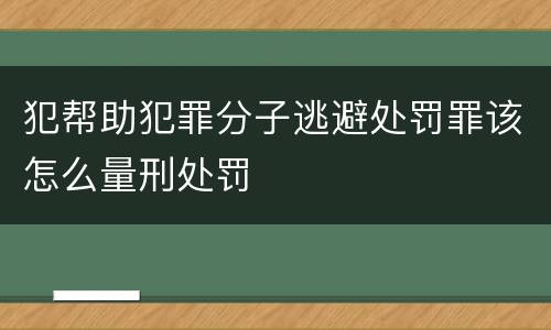 犯帮助犯罪分子逃避处罚罪该怎么量刑处罚