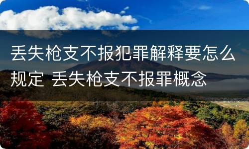 丢失枪支不报犯罪解释要怎么规定 丢失枪支不报罪概念