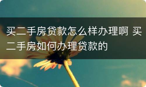 买二手房贷款怎么样办理啊 买二手房如何办理贷款的
