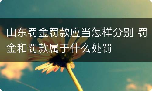 山东罚金罚款应当怎样分别 罚金和罚款属于什么处罚