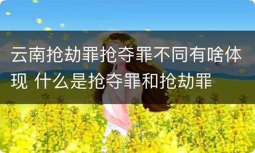 云南抢劫罪抢夺罪不同有啥体现 什么是抢夺罪和抢劫罪