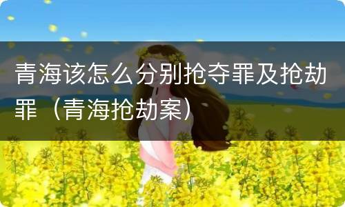 青海该怎么分别抢夺罪及抢劫罪（青海抢劫案）