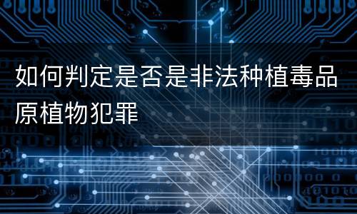 如何判定是否是非法种植毒品原植物犯罪