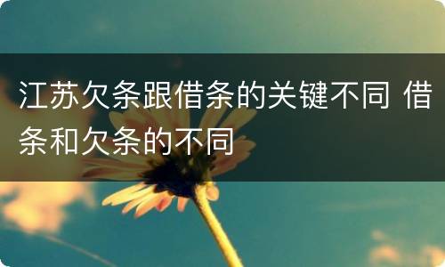 江苏欠条跟借条的关键不同 借条和欠条的不同