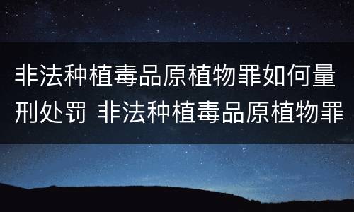 非法种植毒品原植物罪如何量刑处罚 非法种植毒品原植物罪如何量刑处罚