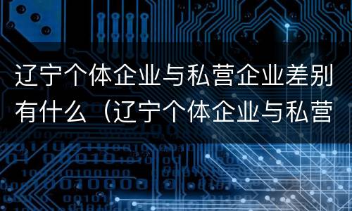 辽宁个体企业与私营企业差别有什么（辽宁个体企业与私营企业差别有什么特点）