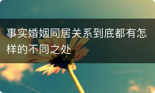 事实婚姻同居关系到底都有怎样的不同之处