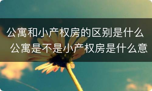 公寓和小产权房的区别是什么 公寓是不是小产权房是什么意思