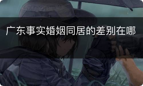 广东事实婚姻同居的差别在哪