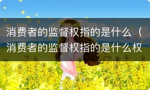 消费者的监督权指的是什么（消费者的监督权指的是什么权力）